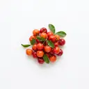 Acerola roh