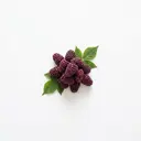 Boysenbeeren