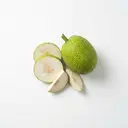 Brotfrucht