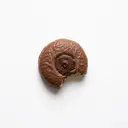 Butterkekse/Butterplätzchen, kakaohaltig (Mürbeteig) mit Nougatfüllung, schokoliert