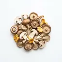Pilz (Durchschnitt), roh