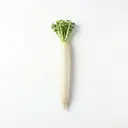 Daikon-Rettich