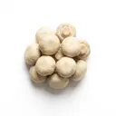 Champignon gekocht