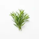 Estragon