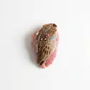 Fasan Fleisch, mit Haut, roh