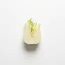 Gemüsefenchel gedünstet