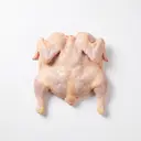 Huhn