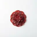 Bündnerfleisch