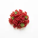 Johannisbeere rot