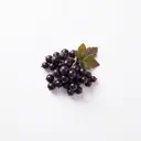 Johannisbeere schwarz roh