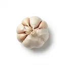 Knoblauch