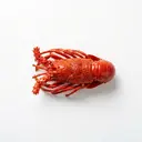 Languste gekocht