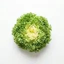 Endiviensalat