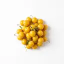 Mirabelle roh
