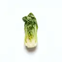 Pak Choi