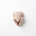 Rebhuhn Fleisch, tiefgefroren