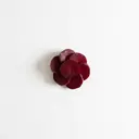 Rote Rübe/Rote Bete, gedünstet