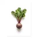 Rote Bete