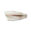Schellfisch roh
