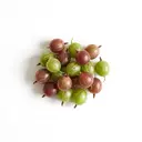 frische Stachelbeeren