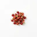 Wald-Erdbeere roh