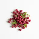 Wald-Himbeere roh