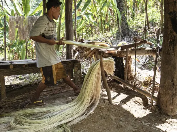 Foto von Knusprige gebackene Bananen (Pisang Goreng) – fertig angerichtet