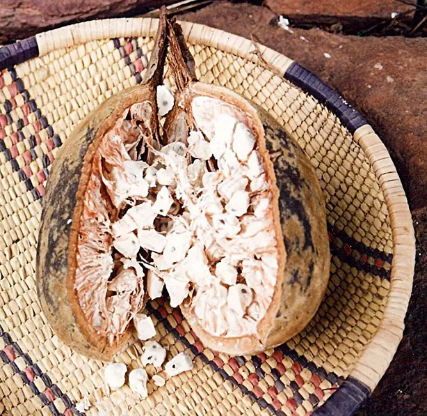 Foto von Riz Gras (Burkinabè Reistopf mit Fleisch) – fertig angerichtet