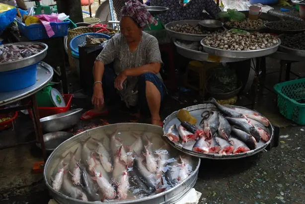 Basa fish - Vinh Long Market – Foto: Alpha (CC BY-SA 2.0)