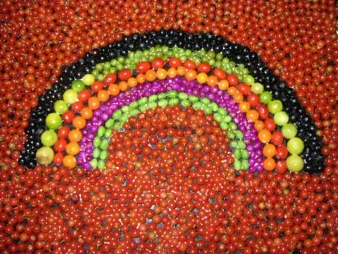 Berries Contrast – Foto: Chrishibbard7 (talk) (CC BY-SA 3.0)