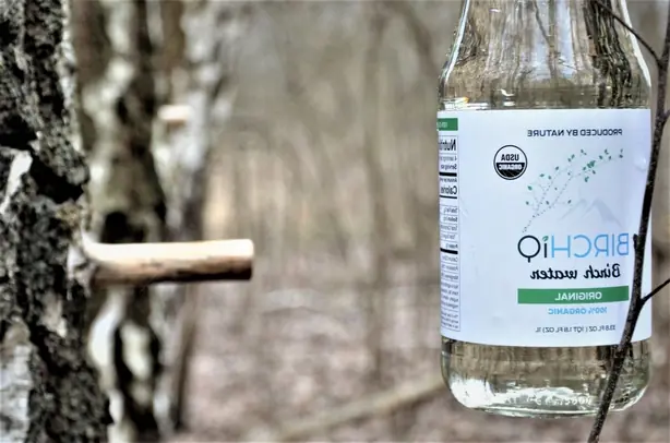 Foto von Naturreines Birkenwasser (Hausgemachter Birkensaft) – fertig angerichtet