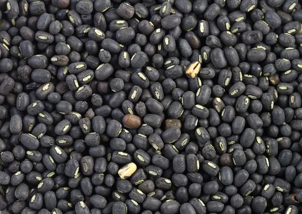 Foto von Cremiges Dal Makhani (Indische schwarze Linsen) – fertig angerichtet