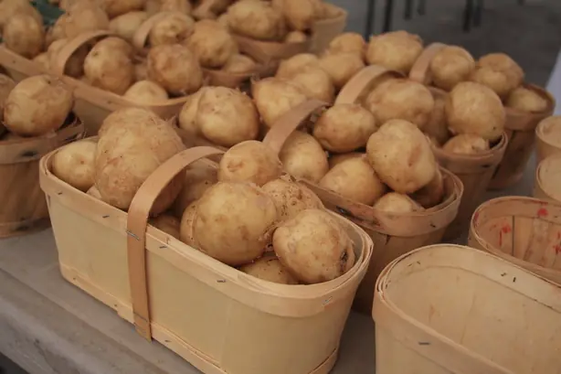 Bunch o' Potatoes (3714635149) – Foto: DGriebeling from Canada (CC BY 2.0)