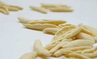 Foto von Hausgemachte Capunti (Apulische Erbsenschoten-Pasta) – fertig angerichtet