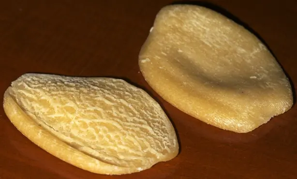 Foto von Handgemachte Cencioni – Die rustikale Pasta aus Süditalien – fertig angerichtet