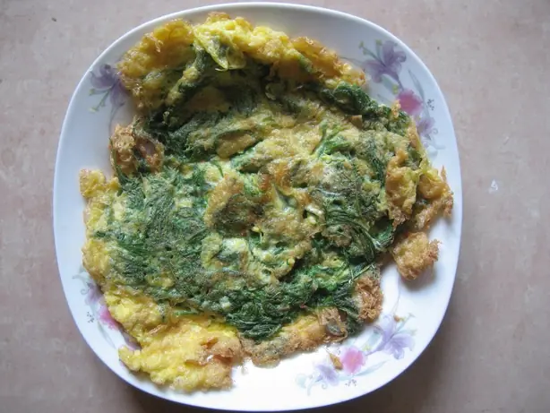 Cook Snap von rezeptwissen-redaktion