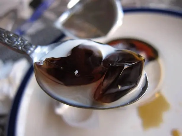 Foto von Japanisches Kaffee-Gelee (Coffee Jelly) – fertig angerichtet