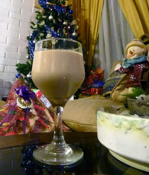 Foto von Cola de Mono (Chilenischer Weihnachtslikör) – fertig angerichtet