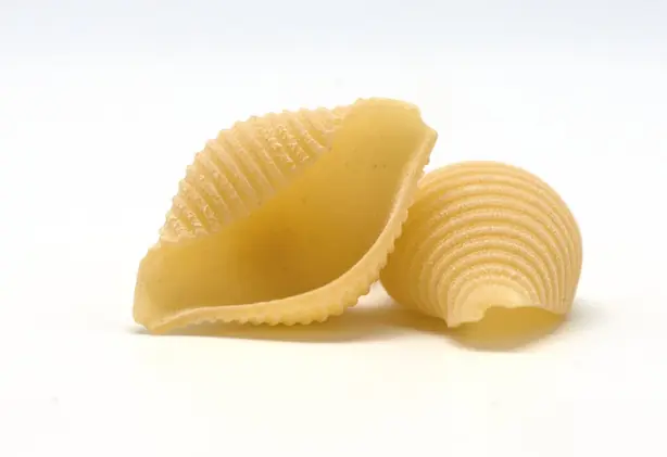 Foto von Conchiglie Rigate mit cremiger Tomaten-Basilikum-Sauce – fertig angerichtet