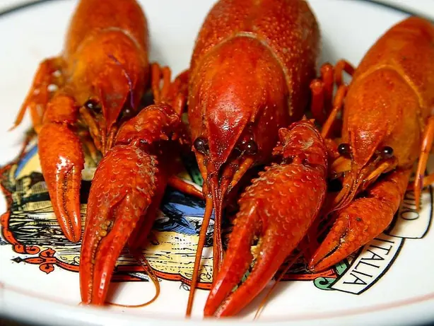 Foto von Klassischer Louisiana Dirty Rice – fertig angerichtet