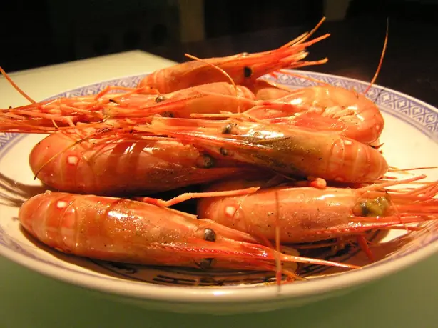 Drunkenshrimp – Foto: Laurel F from Seattle, WA (CC BY-SA 2.0)