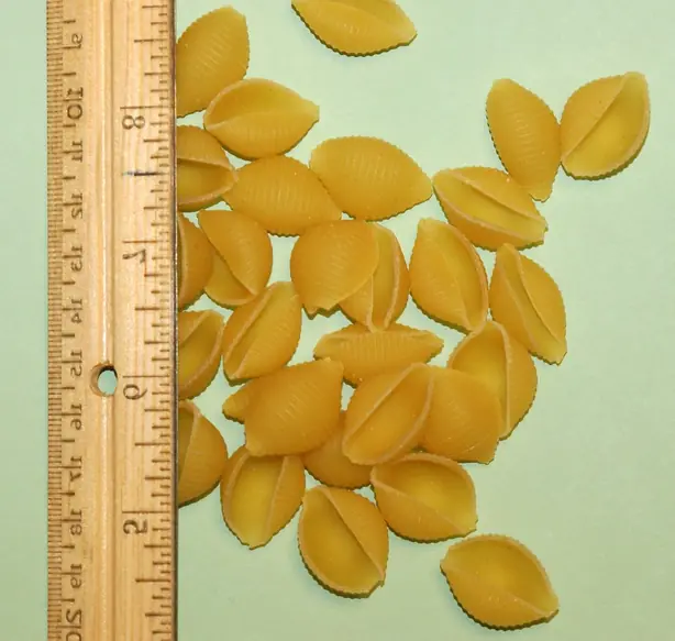 Foto von Conchiglioni al forno (Gefüllte Pasta-Muscheln mit Ricotta und Spinat) – fertig angerichtet