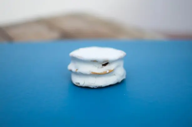 Foto von Alfajores de Maicena – fertig angerichtet
