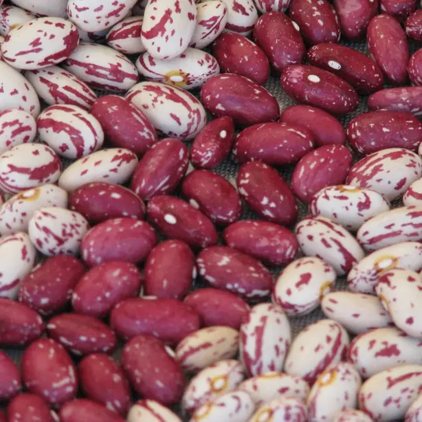 Foto von Pasta e fagioli (Italienische Pasta mit Bohnen) – fertig angerichtet