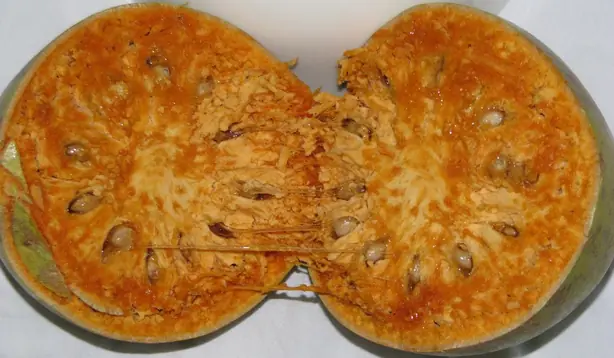 Limonia Acidissima Fructus – Foto: Sylveno (CC BY-SA 3.0)