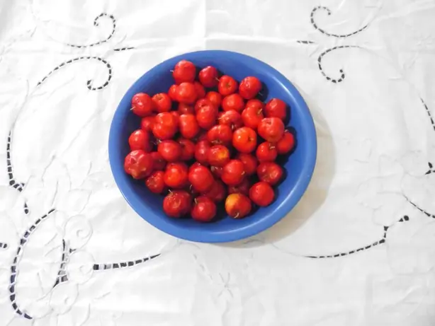 Foto von Erfrischender Acerola-Drink (Barbados-Kirsch-Saft) – fertig angerichtet