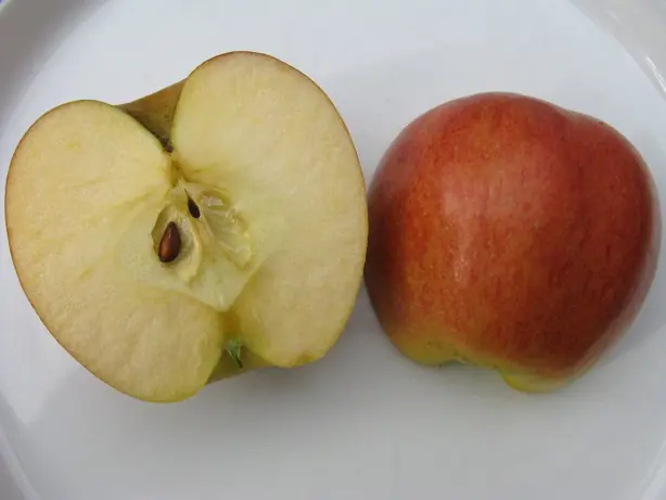 Foto von Klassischer Creston-Apfel-Pie – fertig angerichtet