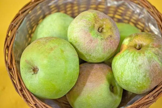 Foto von Traditioneller Hessischer Apfelkuchen mit Kloppenheimer Streifling – fertig angerichtet