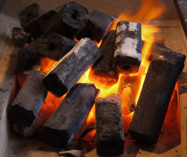 Ogatan(JapaneseBriquetteCharcoal) – Foto: DryPot (CC BY-SA 3.0)