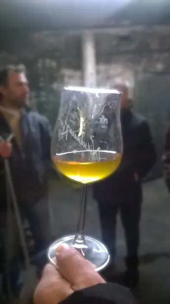 Oranger Wein – Foto: Lantus (talk) (CC BY-SA 3.0)